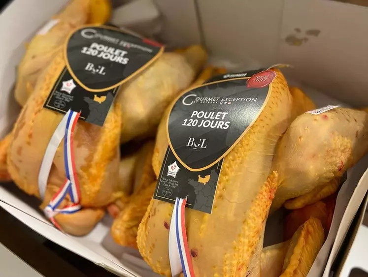 Un poulet de type fermier entièrement « made in Normandie »