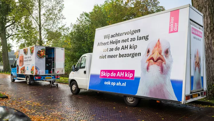Après le coup du Plofkip en 2012, l'association animaliste Wakker Die a remis la pression sur le distributeur Albert Heijn qui a fini par céder.