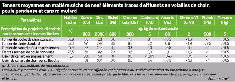 Environnement : Les effluents avicoles respectent les teneurs en éléments métalliques traces