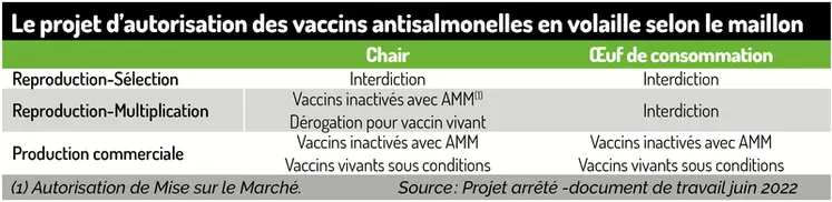 Le projet d’autorisation des vaccins anti-salmonelles en volaille selon le maillon