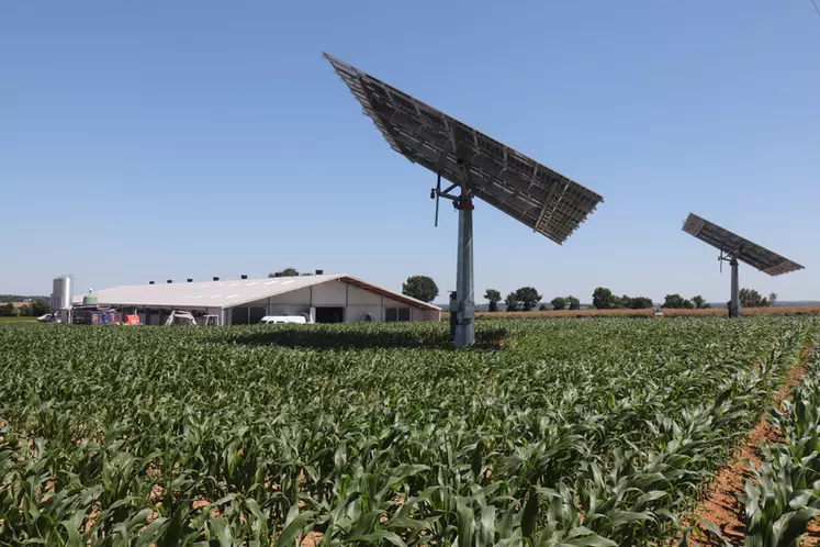 OKwind est le leader français des trackers solaires destinés au secteur agricole.