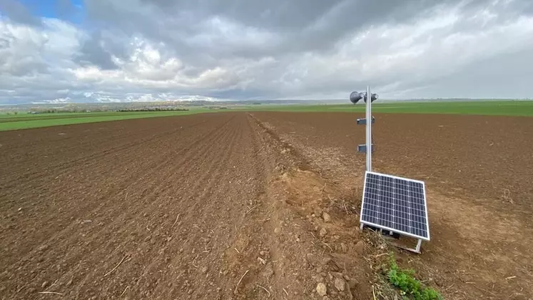 Alimenté par des panneaux solaires, le prototype Galinios a fait la preuve de son concept sur une parcelle de blé d’hiver de la ferme expérimentale d’AgroParisTech.