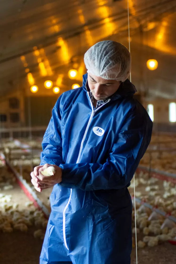 Plusieurs sessions de formation Référent bien être animal seront proposées cette année à Loudéac (22).