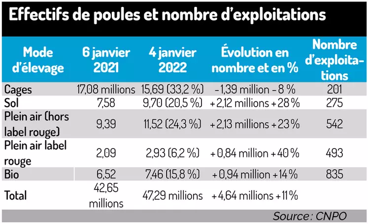 La filière œuf écartelée entre prix et attentes sociétales