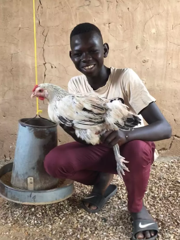 Pour la population rurale, le poulet coloré est facile à élever sans grands moyens et une bonne source de protéines.  © Hendrix Genetics