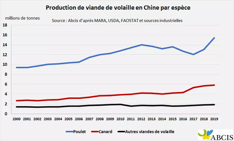 La production chinoise de volailles est repartie en forte croissance en 2018 avec l'épidémie de peste porcine sur le territoire chinois. © Abcis