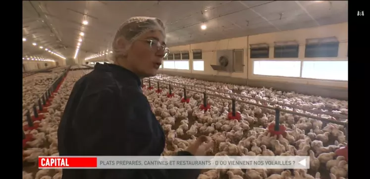 Audrey Besançon, éleveuse de volailles à Saint-Berthevin en Mayenne.