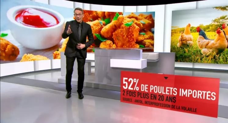 Le lait de poule : les origines - Le 31 janvier 2024