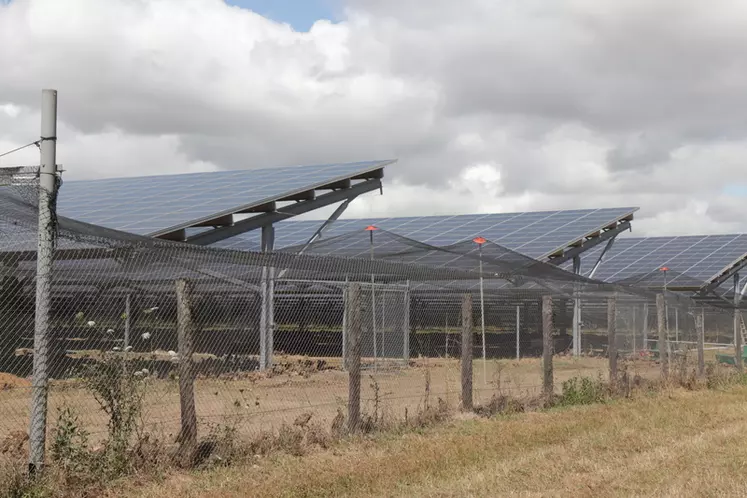 À Saint-Hilaire-de-Chaléons (Loire-Atlantique), la centrale photovoltaïque de Technique solaire de 2,4 hectares de panneaux fournira la consommation annuelle moyenne de 2 ...