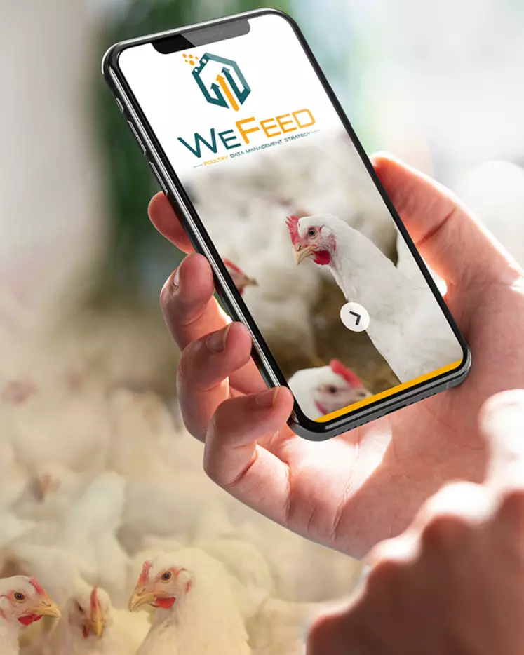 Wefeed projection est une application dédiée aux groupements de production.