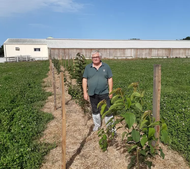 Dominique Charles, référent Agroforesterie Le Gouessant : « Si l’été qui suit la plantation s’annonce caniculaire, il faudra absolument arroser les plants pour ...