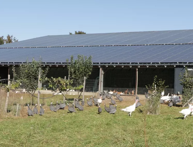 Le bâtiment avec toiture photovoltaïque comprend 4 salles d'élevages, donnant chacune sur un préau devant les parcours.