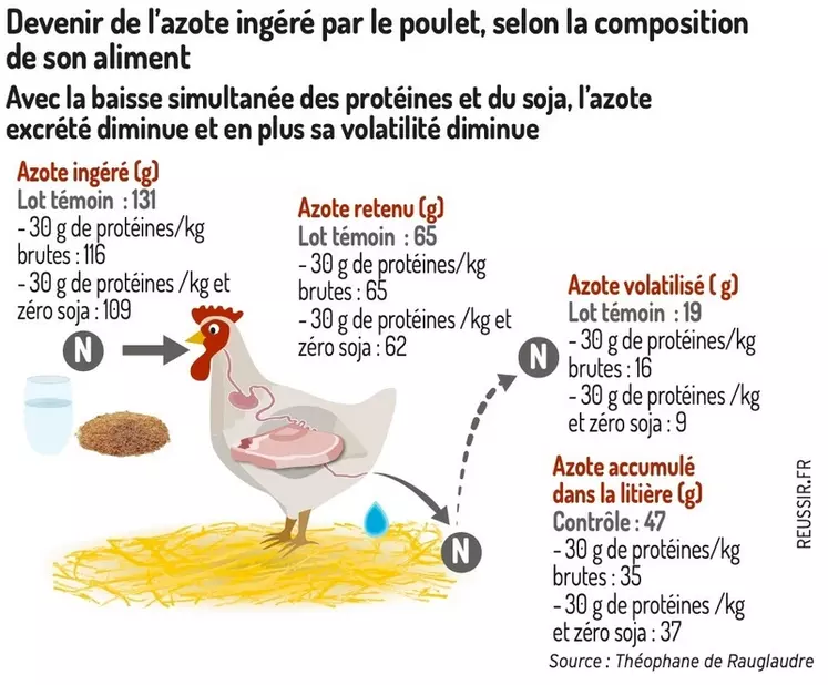 Baisser les protéines et le soja dans l’aliment réduit l’impact climatique du poulet