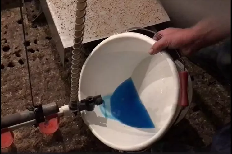Les rampes de pipettes sont purgées jusqu'à l'apparition d'une eau bleu foncé.