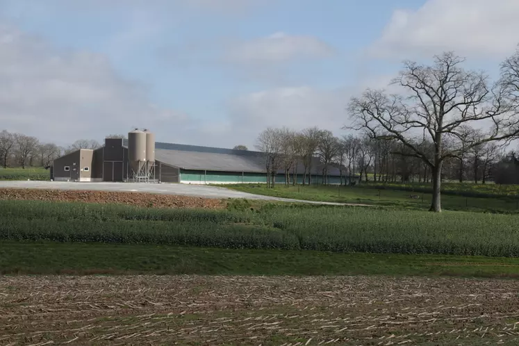 Le poulailler Terre-Neuve statique avec deux jardins d'hiver construit en 2019 chez Emmanuel Rochelle.