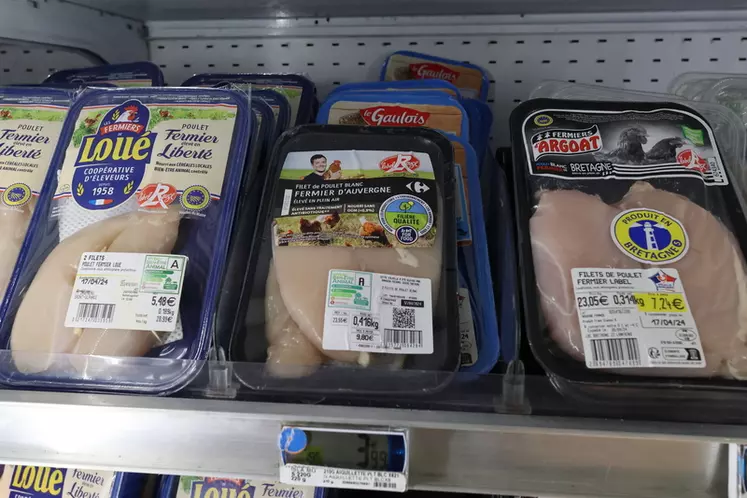 Dans un Leclerc d’Angers mi-avril, trois références de filets de poulet variant de 23,05 à 28,99 euros le kilo.