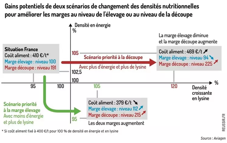 Graphique : La France pourrait améliorer ses marges élevage et découpe en réajustant les densités en lysine et en énergie - Gains potentiels de deux scénarios de ...