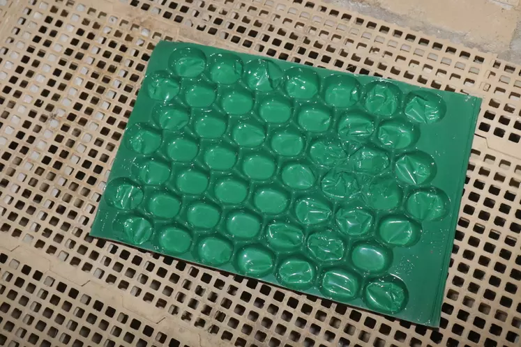 Au démarrage, l'éleveur met à disposition des alvéoles remplies d'eau (à droite) en complément des lignes de pipettes et de minicoupelles (à gauche). 