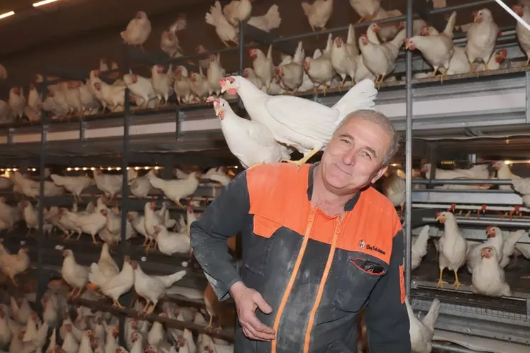 Jacky Allaire, du Gaec Le Grand Saut : « La poule blanche a un instinct de perchage et s’adapte facilement à l’élevage en volière. »