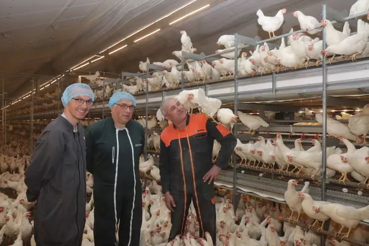 De gauche à droite : Jacky Allaire, Frédéric Beniguet (Huttepain Aliments) et Nicolas Destombes (Lohmann France) : « Plus facile à élever, la poule blanche est aussi ...