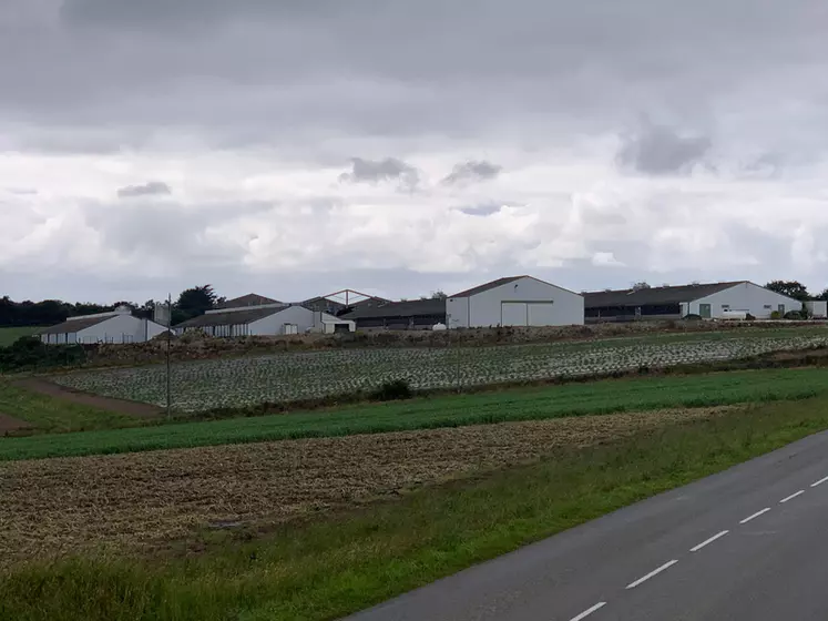 Grâce à l’aide à l’emploi d’un salarié, les éleveurs ont pu continuer à investir pour entretenir les bâtiments et les maintenir performants et plus facile à ...