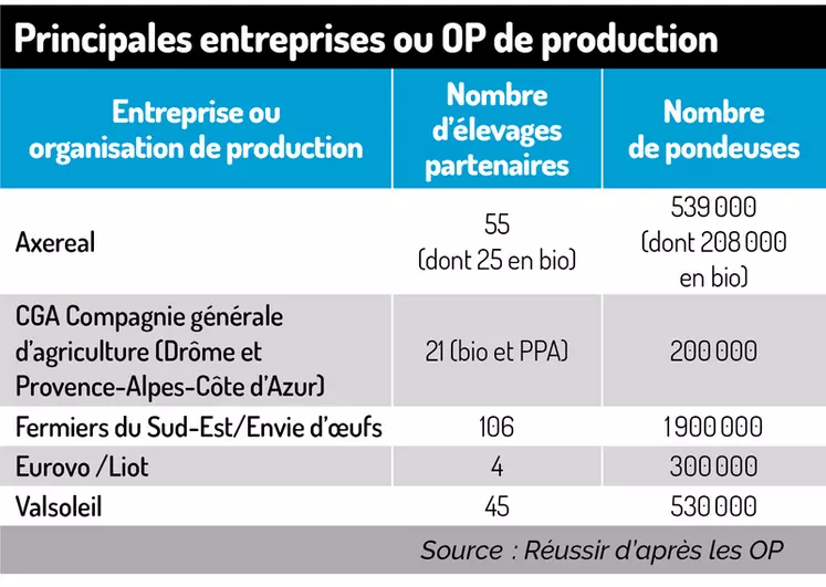 Tableau : Principales entreprises ou OP de production