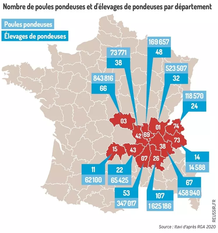 Graphique : Nombre de poules pondeuses et d’élevages de pondeuses par département