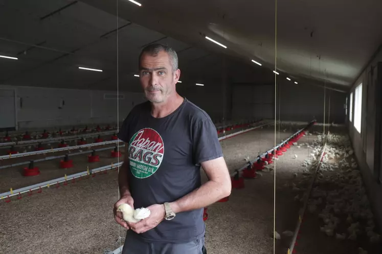 Chez Anthony Bellego, « Enterococcus cecorum » n'est plus une problématique sanitaire forte, mais la vigilance reste de mise.