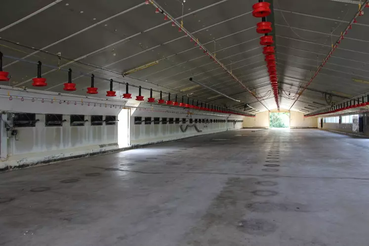 La rénovation d’un des poulaillers en 2020 (ventilation, brumisation, éclairage LED, sol béton, lumière naturelle, enrichissement du milieu) a coûté 7,15 euros par ...