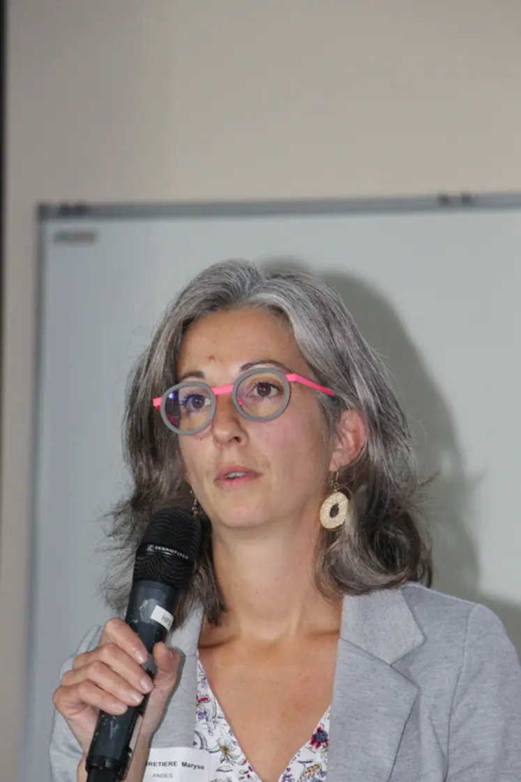 <em class="placeholder">Maryse Guinebretière, de l&#039;Anses : « Il n’a pas été notée d’interaction souche X densité. »</em>