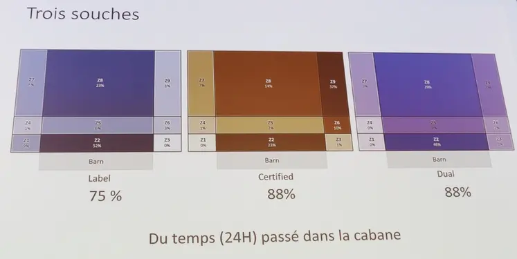 <em class="placeholder">Les poulets ayant accès à un parcours passent énormément de temps dans le bâtiment</em>