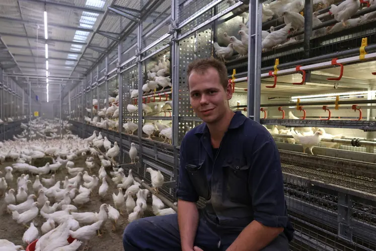 <em class="placeholder">Evert Van Kruistum a investi 1,2 million d’euros dans un bâtiment en volière pouvant abriter 37 000 poulettes conventionnelles </em>
