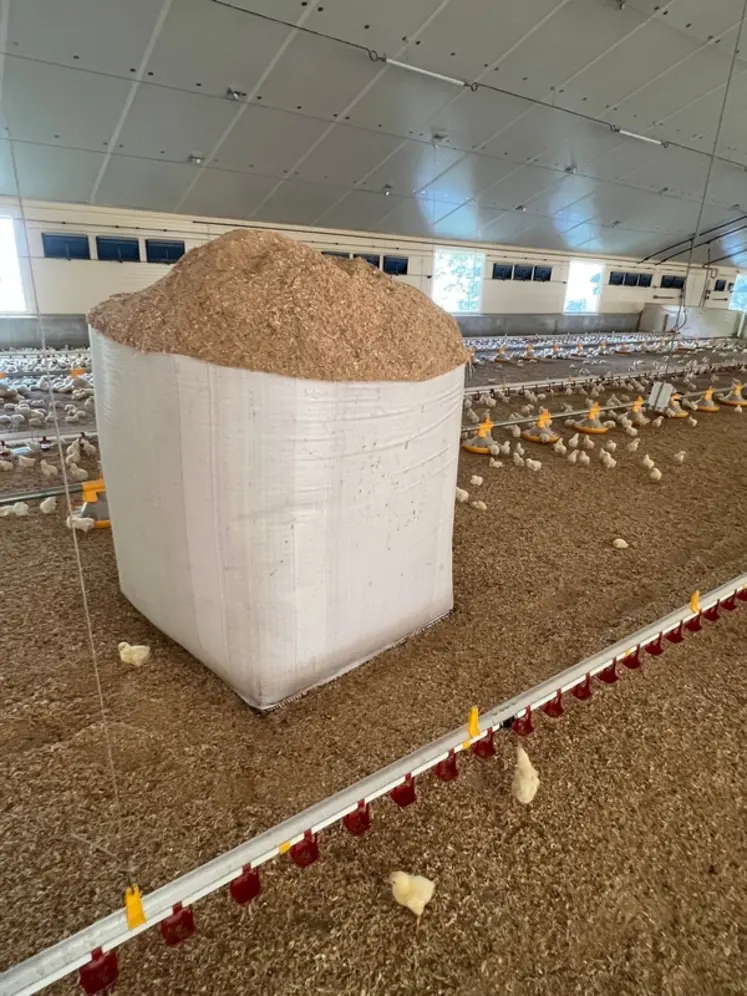<em class="placeholder">big bag de copeau dans poulailler</em>