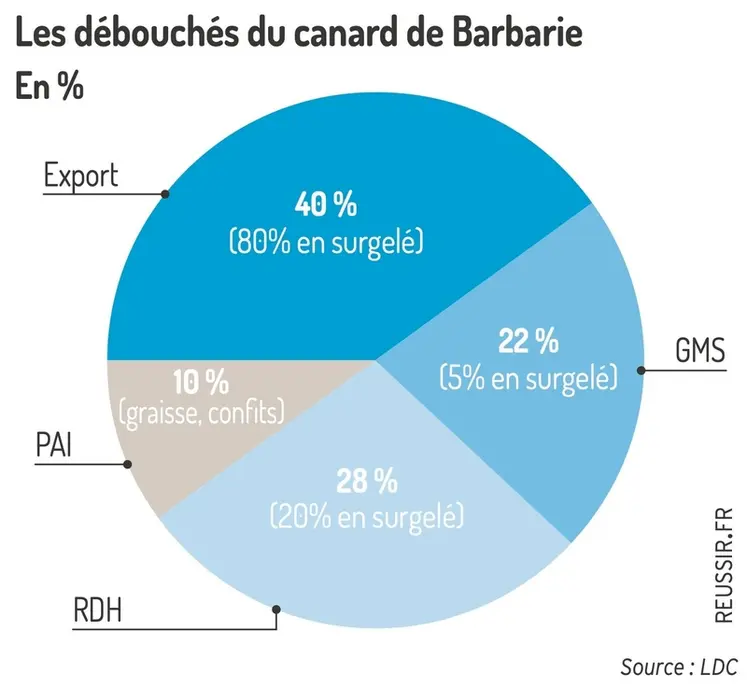 <em class="placeholder">Graphique : Les débouchés du canard de Barbarie en %</em>