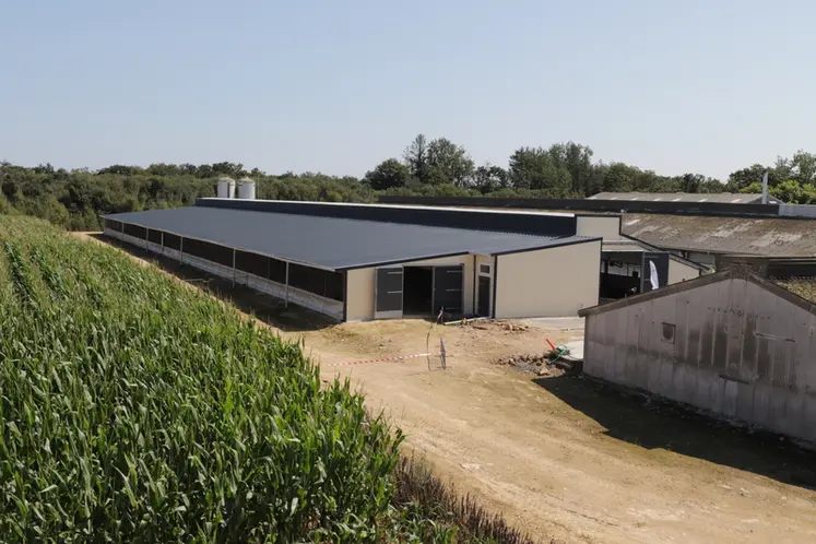 <em class="placeholder">Un soixantaine de préaux doivent être construits en Bretagne d’ici fin 2025 pour remplir les plannings prévus avec Duc-Plukon et SBV-LDC.</em>