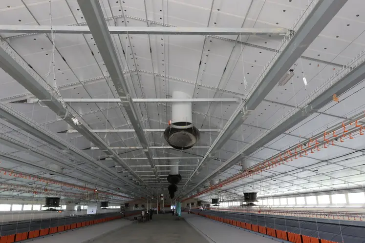 <em class="placeholder">Avec une salle de 3 000 m², une personne bien organisée et bien équipée pour le conditionnement peut mener au quotidien 22 000 reproducteurs.</em>