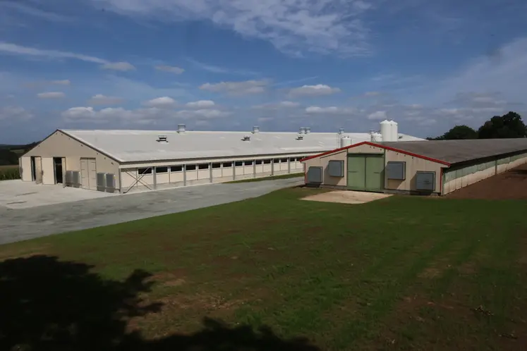 <em class="placeholder">Le neuf à gauche, le vieux Louisiane à droite. Transformer les deux poulaillers Louisiane aurait coûté plus cher que le bâtiment neuf</em>