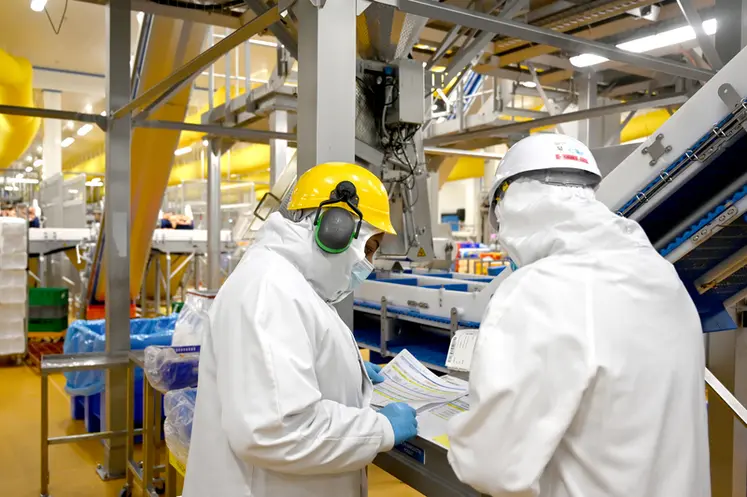 <em class="placeholder">En France, LDC réorganise ses activités Dinde (regroupements sur quatre abattoirs) et renforce les capacités de ses abattoirs de poulet. </em>