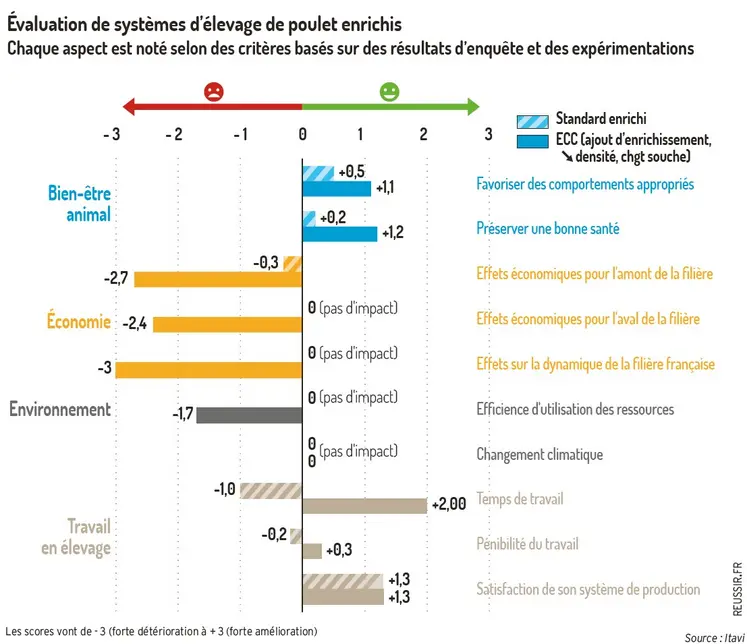 infographie comparant les impacts sur le bien-être, l'économie, l'environnement et le travail des poulets ECC et standard enrichi