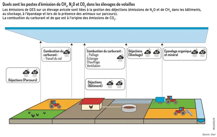 <em class="placeholder">Graphique : Quels sont les postes d’émission de CH4, N2O et CO2 dans les élevages de volaillesLes émissions de GES sur un élevage avicole sont liées à la gestion des ...</em>
