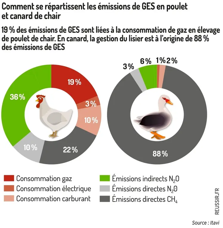 <em class="placeholder">Graphique : Comment se répartissent les émissions de GES en poulet et canard de chair19 % des émissions de GES sont liées à la consommation de gaz en élevage de poulet ...</em>