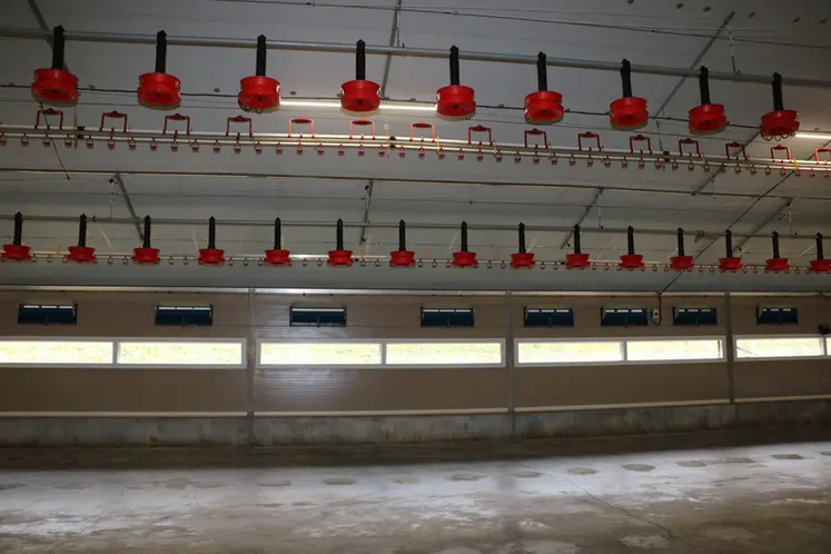 <em class="placeholder">Larges de 18 mètres, les poulaillers disposent d’une dalle bétonnée et d’équipements intérieurs polyvalents.</em>