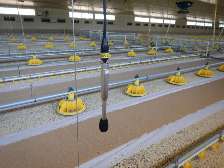 <em class="placeholder">Le projet Acoust’Chick 2.0 vise à construire une base de sons signant un état émotionnel ou physiologique des poulets et poules.</em>