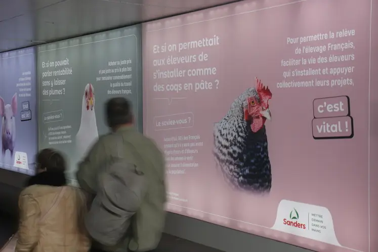 <em class="placeholder">Au salon de l’agriculture de 2024. L’ambition du troisième plan de Sanders est de lutter contre la régression des élevages.</em>