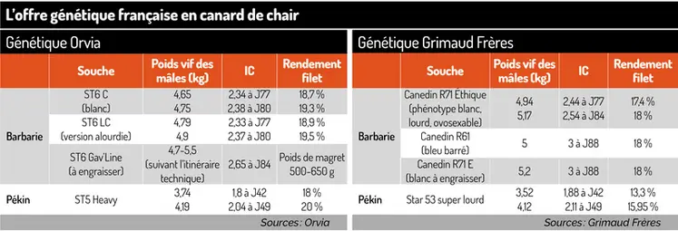 <em class="placeholder">Tableau = L’offre génétique française en canard de chair</em>