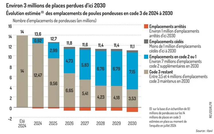 <em class="placeholder">Graphique = Environ 3 millions de places perdues d’ici 2030Évolution estimée (1) des emplacements de poules pondeuses en code 3 de 2024 à 2030</em>