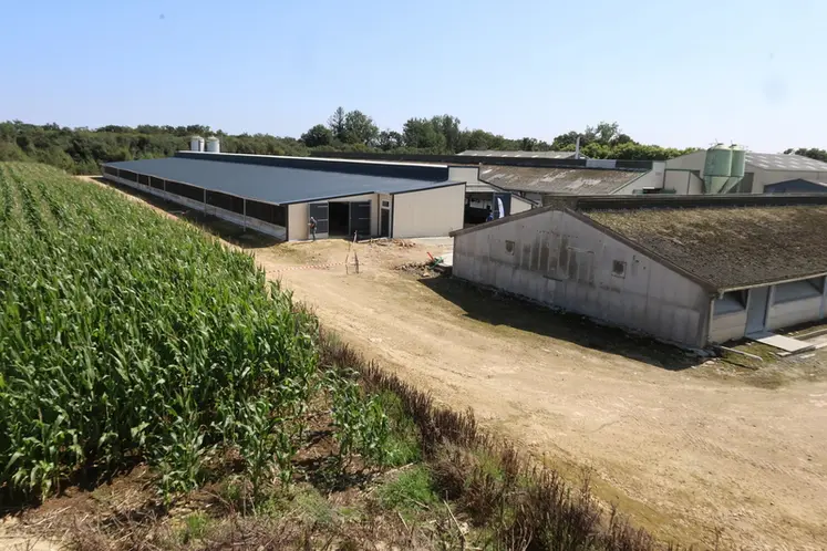 <em class="placeholder">Les frères Rivoal commencent à donner une seconde jeunesse à un site d’élevage construit voici plus de quarante ans, mais régulièrement rénové.</em>