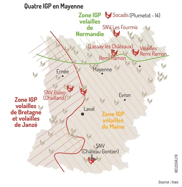 <em class="placeholder">Graphique = Quatre IGP en Mayenne</em>