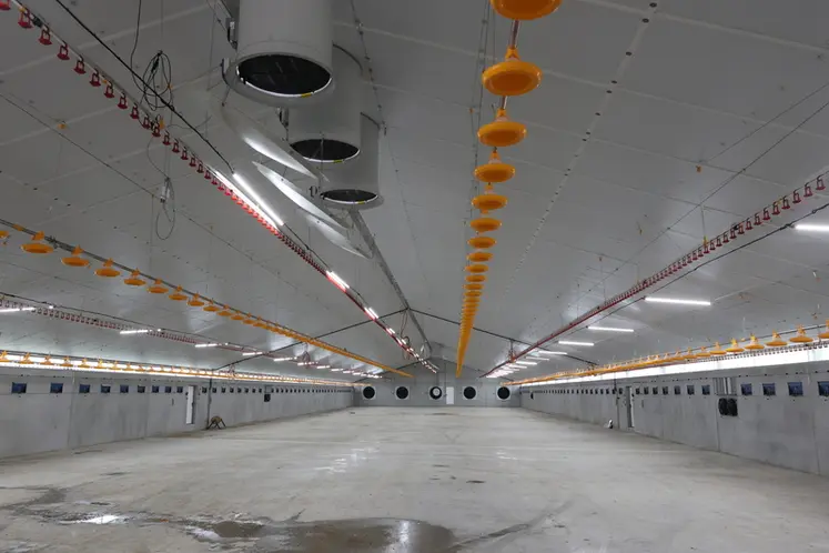 <em class="placeholder">Sol et panneaux verticaux en béton, ventilation bilatérale et longitudinale  Skov, pipettes Lubing, assiettes Landmeco.</em>