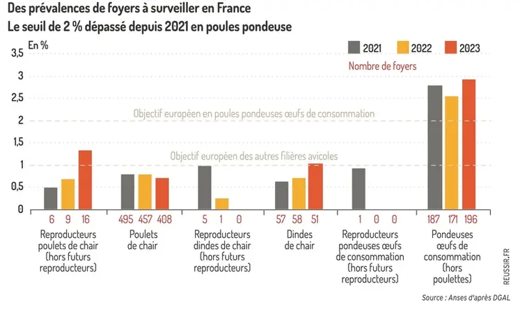 <em class="placeholder">Graphique = Des prévalences de foyers à surveiller en FranceLe seuil de 2 % dépassé depuis 2021 en poules pondeuse</em>